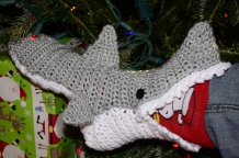 Shark detail